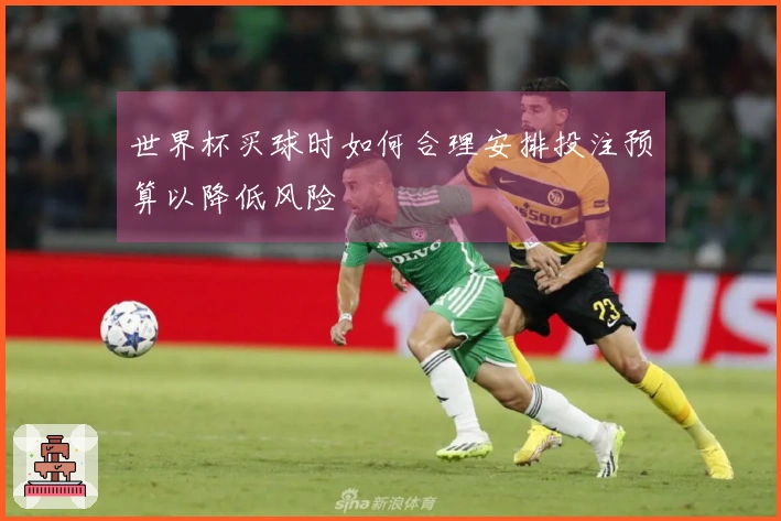 世界杯买球时如何合理安排投注预算以降低风险