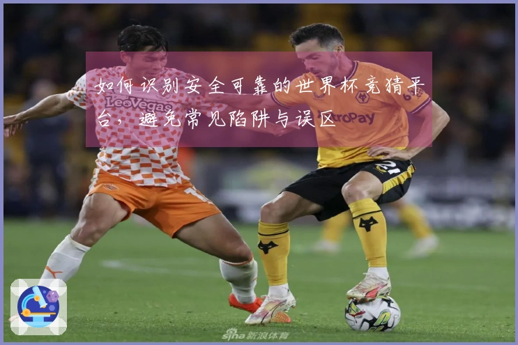 如何识别安全可靠的世界杯竞猜平台，避免常见陷阱与误区