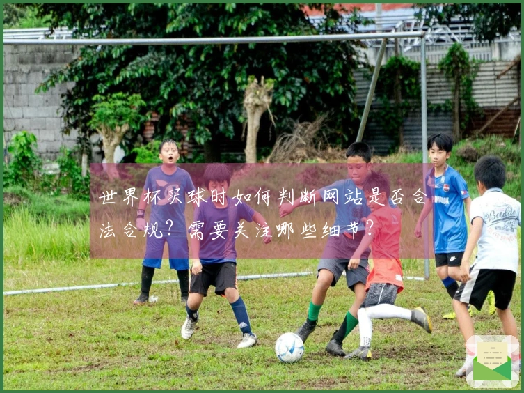 世界杯买球时如何判断网站是否合法合规?需要关注哪些细节?