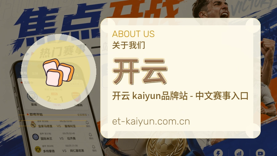 开云关于平台与用户服务展示